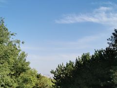 -大青山野生动物园