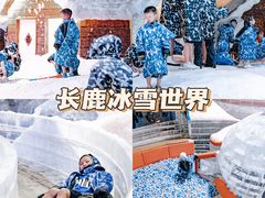 -长鹿旅游休博园
