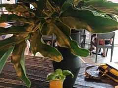 -深圳龙华星河COCO City(民治店)