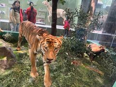 -国家自然博物馆