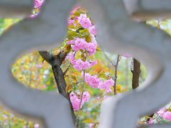 -趵突泉景区