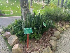 -广西壮族自治区药用植物园