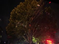 -乌镇东栅景区