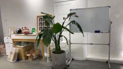 -贝克叔叔儿童摄影工作室(天时嘉园店)