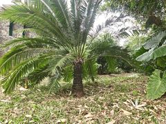 -海南热带野生动植物园