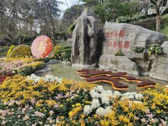 -南山植物园