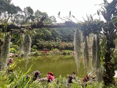 -深圳仙湖植物园
