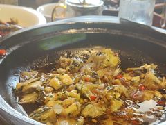 -杨厨的田园饭店(长城路店)