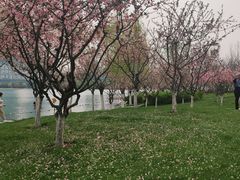 -天鹅湖体育公园