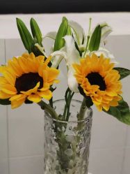 -斐尔国际皮肤管理中心