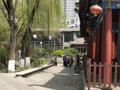 -文瀛公园