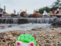 -光明小镇欢乐田园