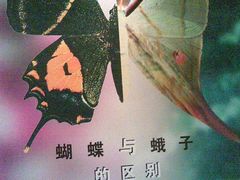 -上海昆虫博物馆