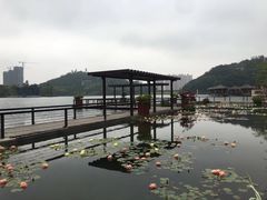 -聚龙小镇