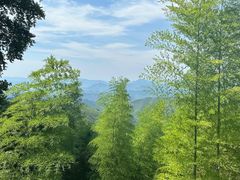 -莫干山风景区