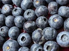 -乐乐鲜果水果超市(河北店)