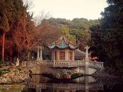 -叶家花园