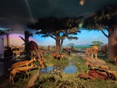 -国家自然博物馆