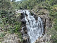 -海南热带雨林国家公园吊罗山景区