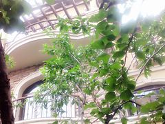 -天鹅湖生态旅游风景区