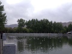 iphone_upload_pic-宗角禄康公园