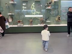 -国家自然博物馆