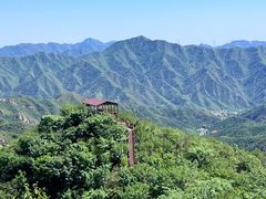 -大岭沟猕猴桃谷风景区