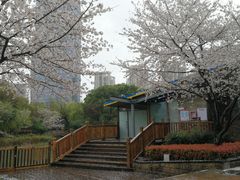 -玉山公园