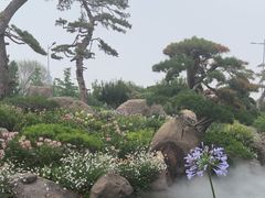 -罗红摄影艺术馆