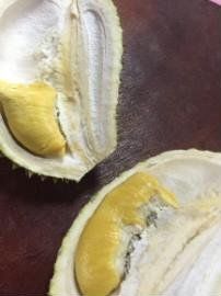 -都念榴莲·城市榴莲