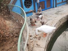 -南宫五洲植物乐园