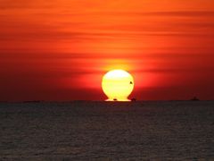 -渡海小渔村.老辈日照菜