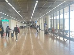 -王权免税店(廊曼机场店)