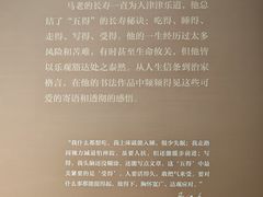 -四川美术馆