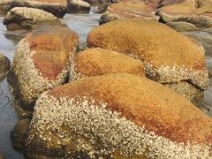 -那琴半岛地质海洋公园