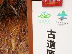 -羚羊峡古栈道森林公园