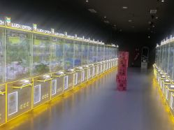 -第五极儿童乐园