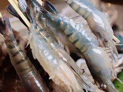 -白仁仔· 活烤海鲜 宵夜(豫园店)