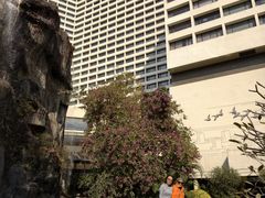-广州花园酒店荔湾亭·地道点心·粤式饮茶