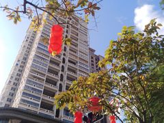 -中山路步行街