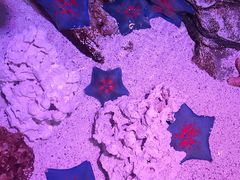 -沈阳海洋探索中心