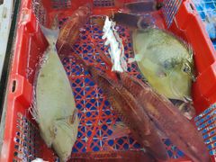 -板桥海鲜广场(文明东店)
