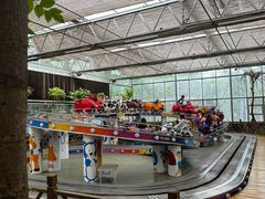 -南宫五洲植物乐园