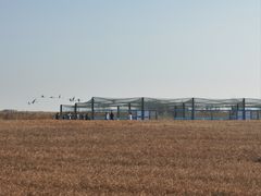 -盐城丹顶鹤湿地生态旅游区