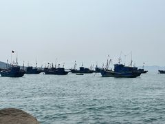 -海源公园