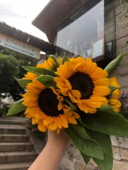 -绿皮火车照相馆 婚纱照旅拍(厦门店)
