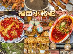 -福苗小骆驼烧烤(莲湖路店)