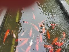 -南宁荔园维景国际酒店·荔园中餐厅
