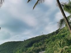 -西双版纳原始森林公园