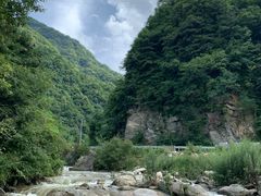 -秦岭风景区